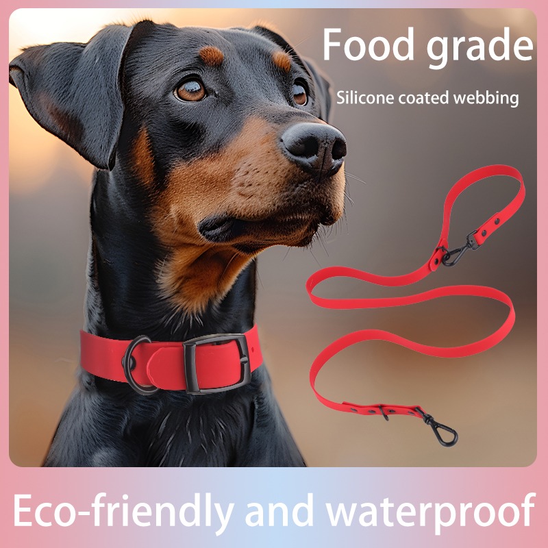 Waterproof Dog Collar & Leash Set – Easy Clean Silicone for Small to Large Dogs