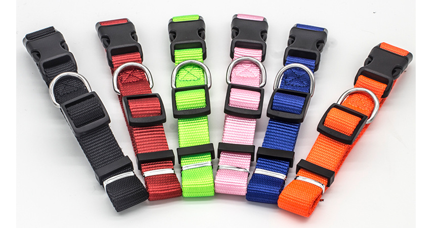 Dog Collar – Adjustable & Comfortable Stylish Collar for Dogs