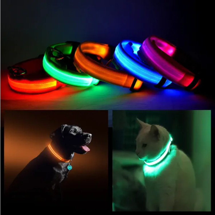 LED Dog Collar – High Visibility Safety Halo Style for Dogs