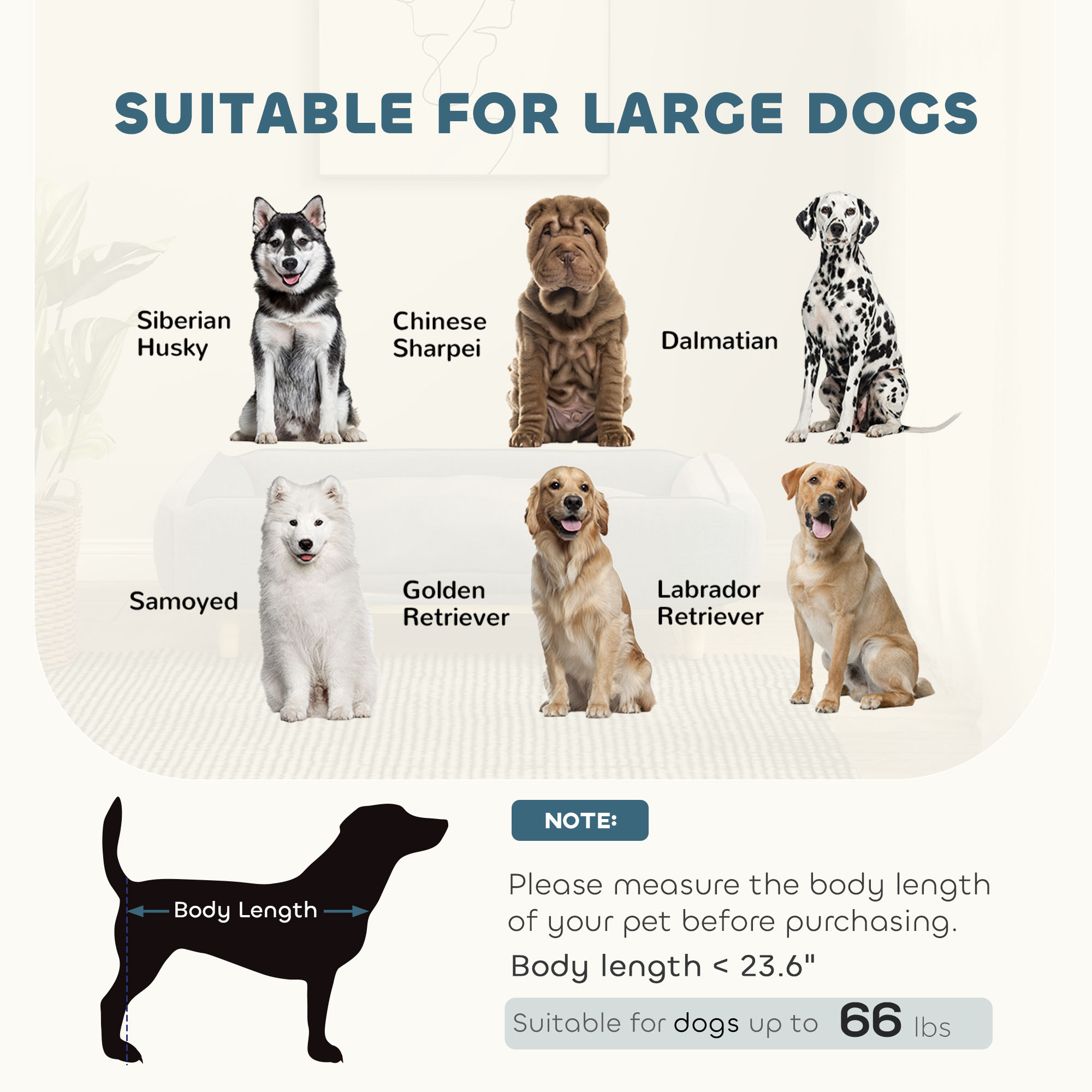 Raised Dog Bed – Comfortable Couch Cushion for Large Dogs