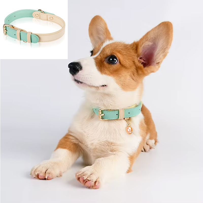 Adjustable Dog Collar – Leather Basic Collar for All Dog Sizes