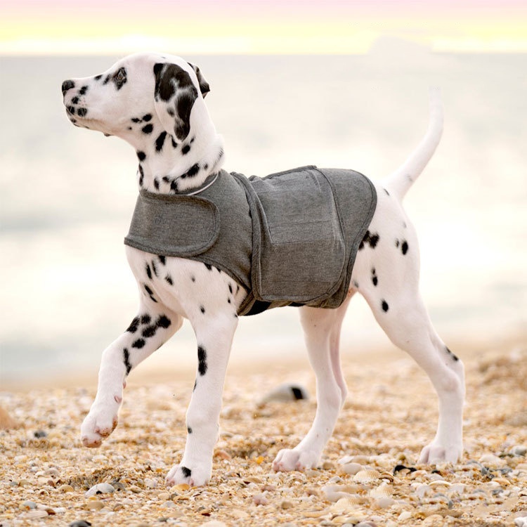 Calming Dog Jacket – Warm Anxiety Relief Vest for Dogs